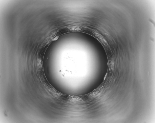 X0000093760521200710301147