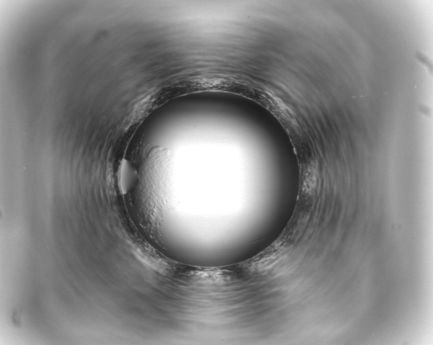 X0000093760524200710301147