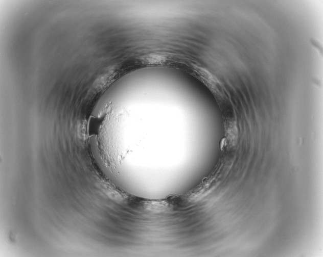 X0000093760525200710301147