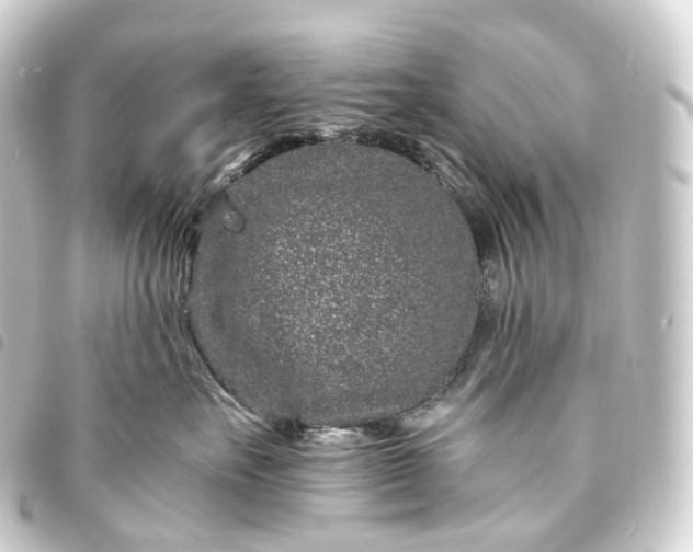 X0000093760527200710301147