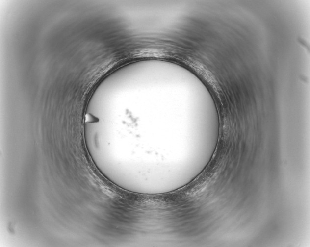 X0000093760529200710301146