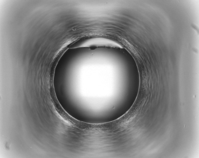 X0000093760530200710301146