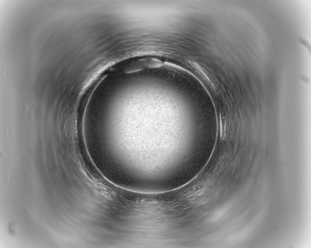 X0000093760531200710301146