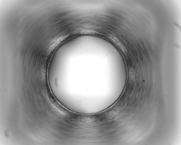 X0000093760533200710301146