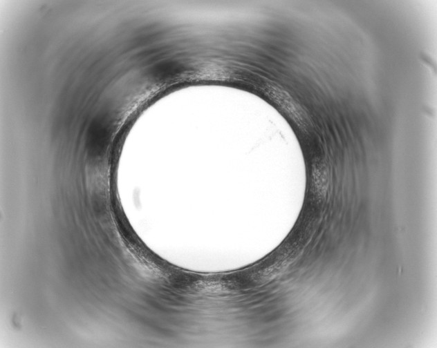 X0000093760534200710301146