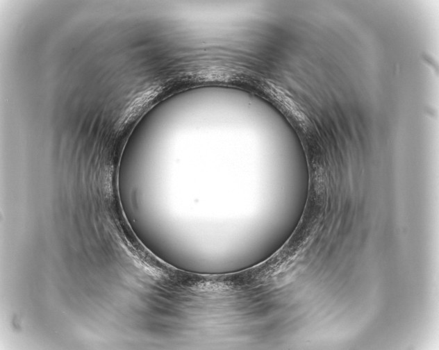 X0000093760537200710301146