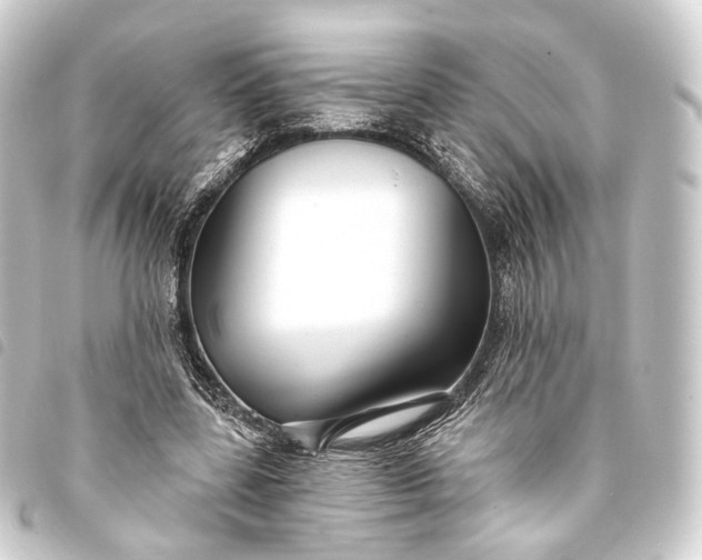 X0000093760539200710301146