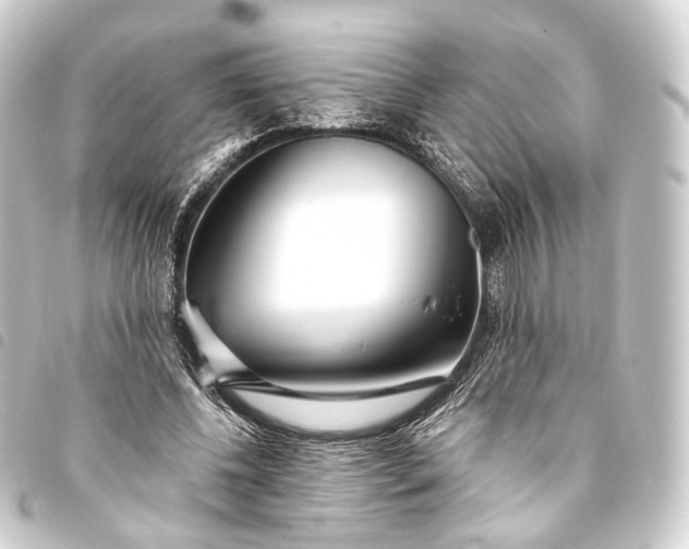 X0000093760540200710301146