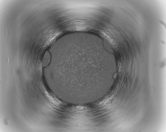 X0000093760542200710301146