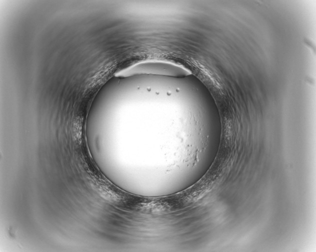 X0000093760545200710301146