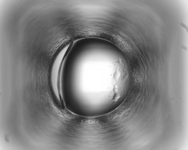 X0000093760546200710301146