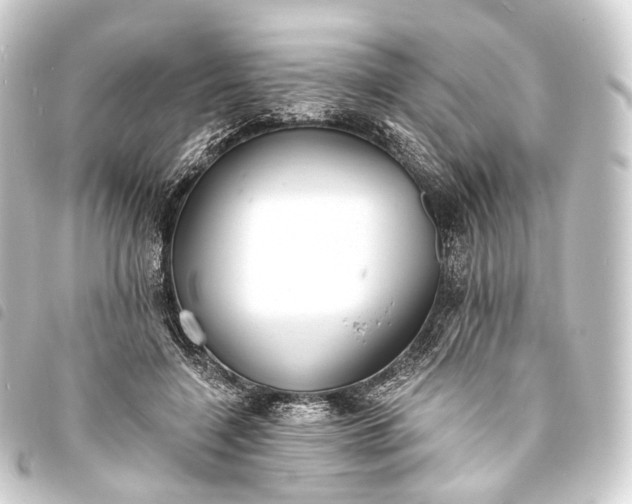 X0000093760548200710301146