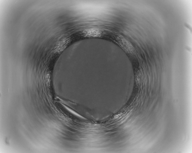 X0000093760551200710301147