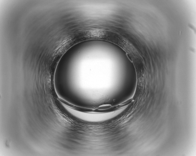 X0000093760552200710301147