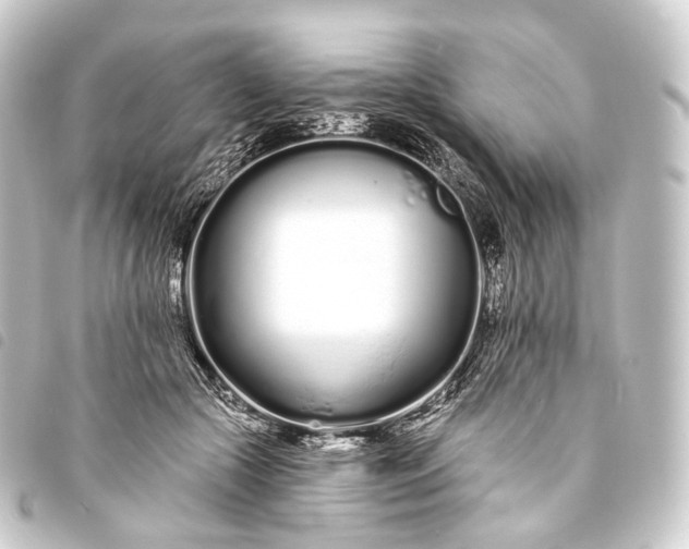 X0000093760553200710301147