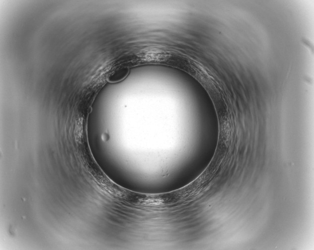 X0000093760554200710301147