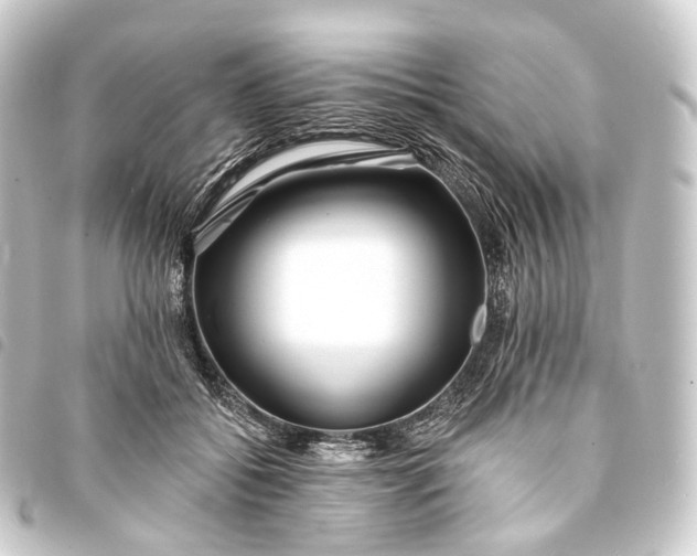 X0000093760556200710301147