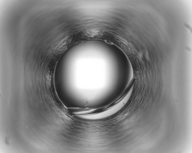 X0000093760558200710301147