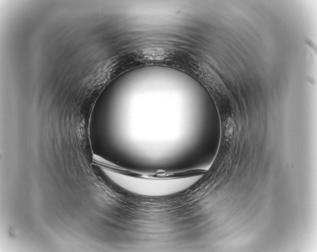 X0000093760559200710301147