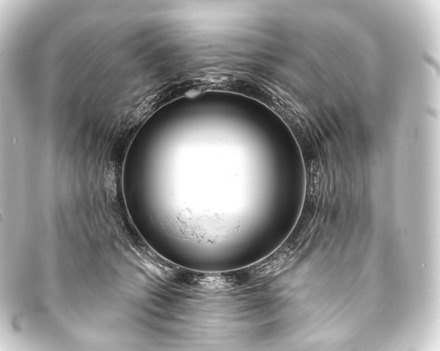 X0000093760562200710301147