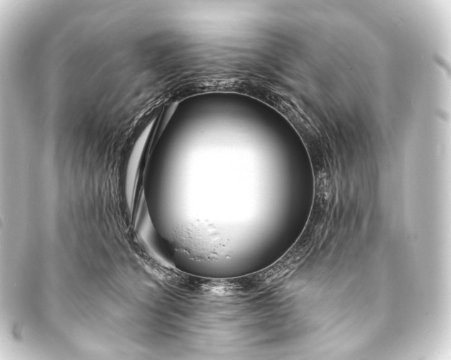 X0000093760564200710301147