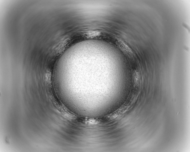 X0000093760565200710301147