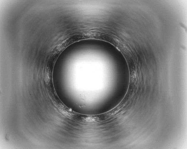 X0000093760566200710301147