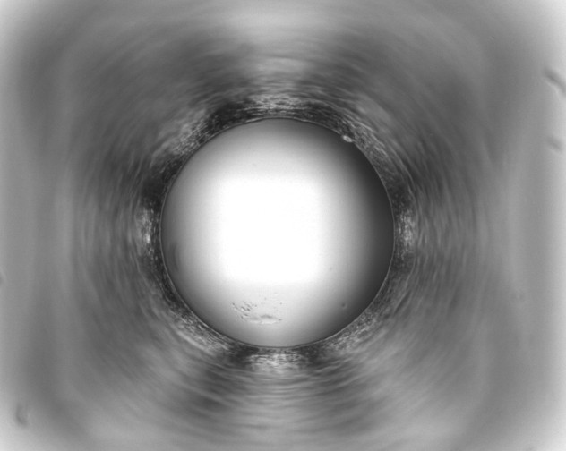 X0000093760567200710301147