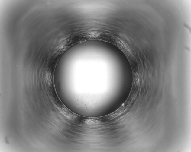 X0000093760568200710301147