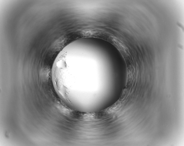 X0000093760574200710301147