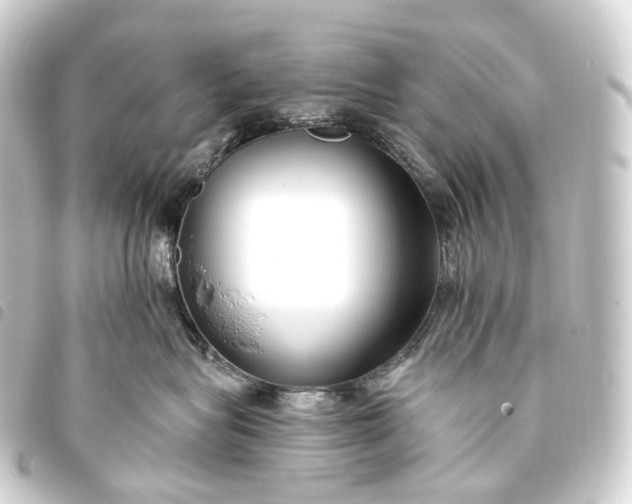 X0000093760575200710301147