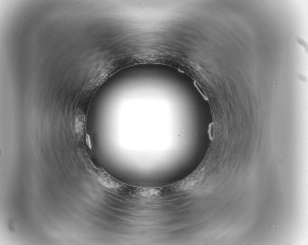 X0000093760576200710301147