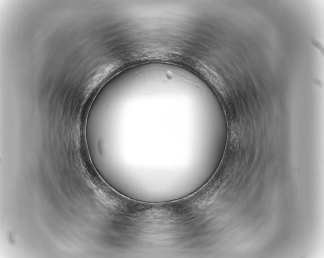 X0000093760578200710301146