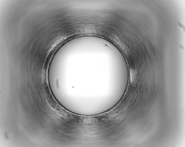 X0000093760579200710301146