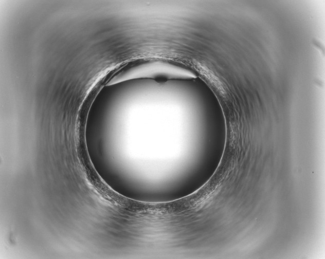 X0000093760580200710301146