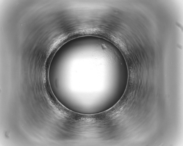 X0000093760582200710301146