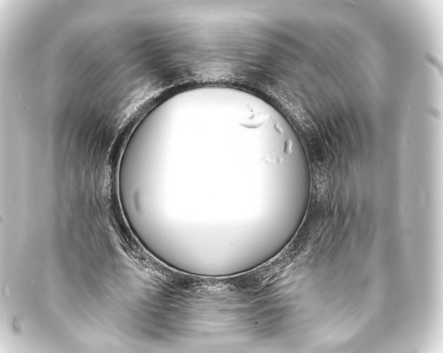 X0000093760583200710301146