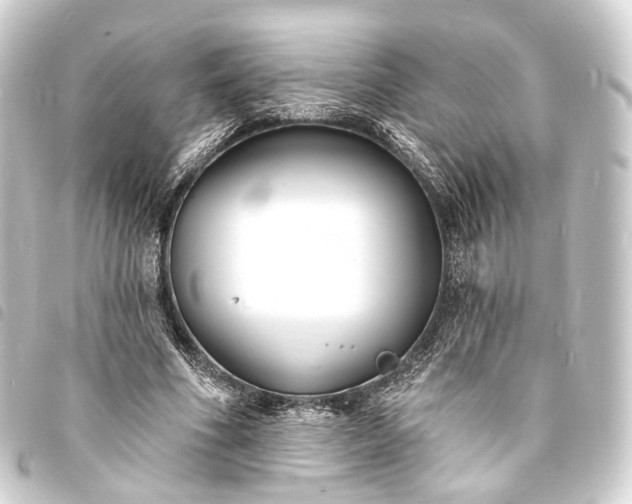 X0000093760586200710301146