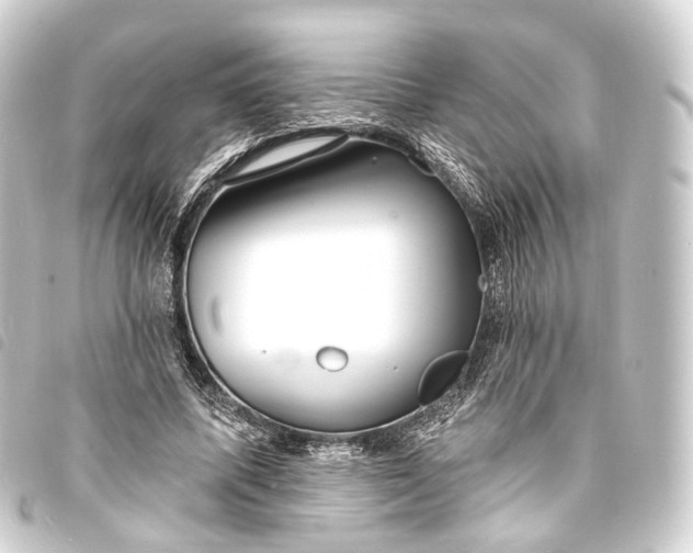 X0000093760587200710301146