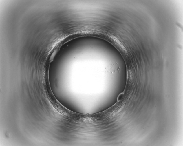 X0000093760588200710301146