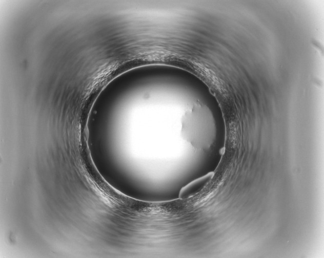 X0000093760589200710301146