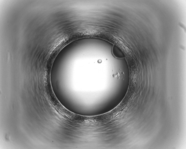 X0000093760591200710301146