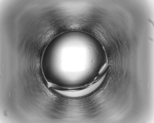 X0000093760593200710301146