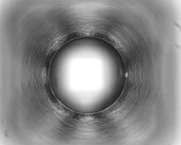 X0000093760594200710301146