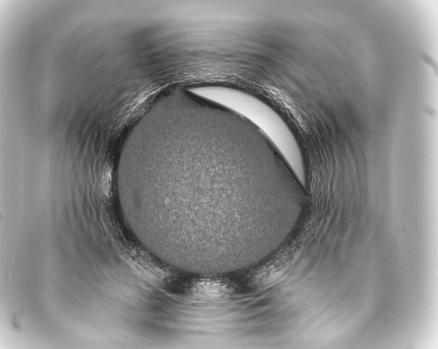 X0000093760596200710301146