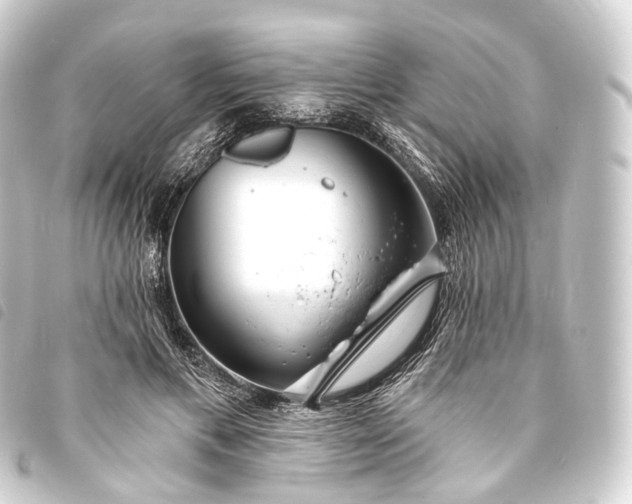 X0000093760597200710301146