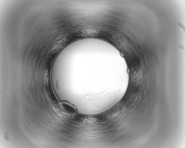 X0000093760599200710301146