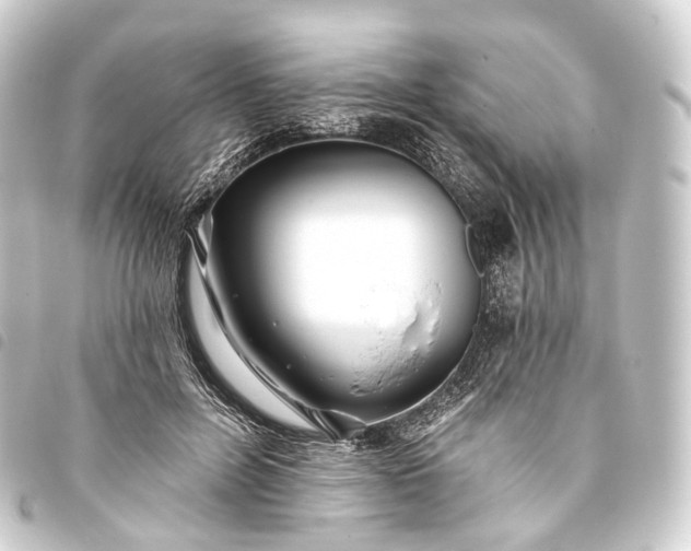 X0000093760600200710301146