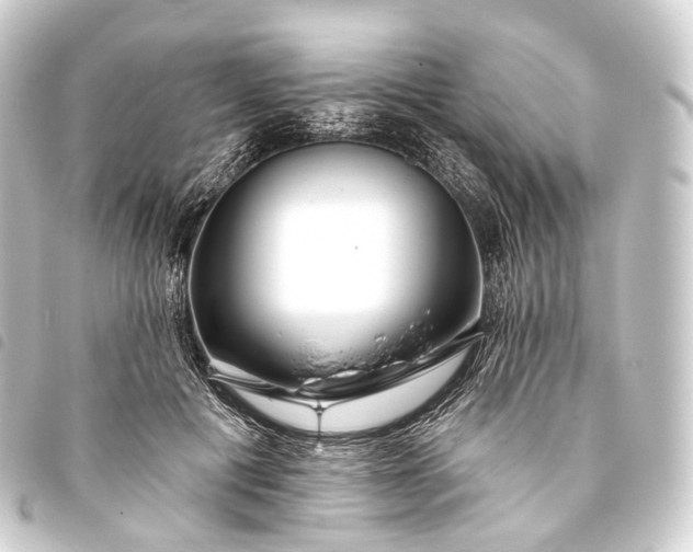 X0000093760601200710301146