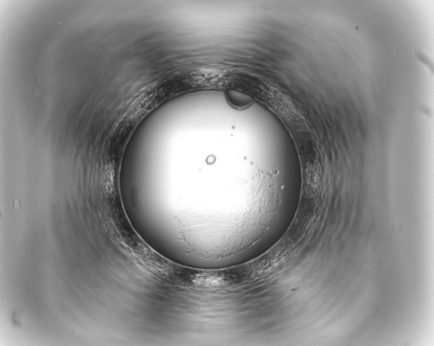 X0000093760602200710301146